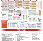 100 Person First Aid Kit | 350 Pcs